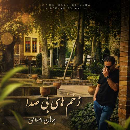 برهان اصلاحی زخم های بی صدا