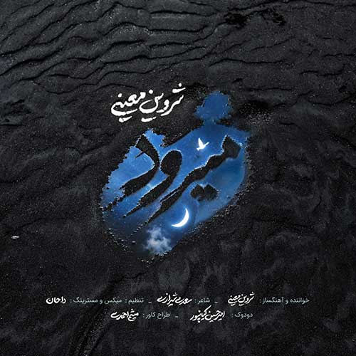 شروین معینی میرود