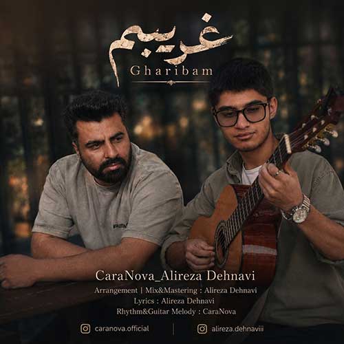 علیرضا دهنوی و کارانوا غریبم