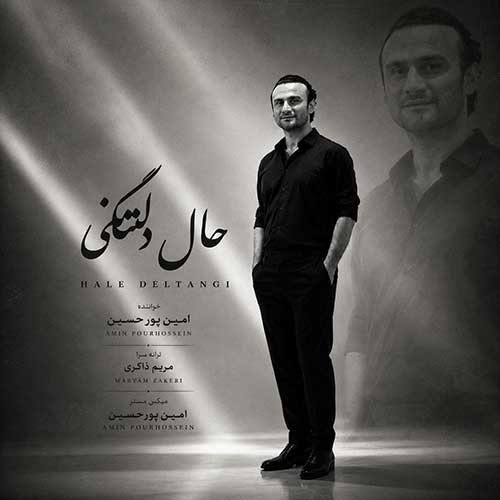 امین پورحسین حال دلتنگی