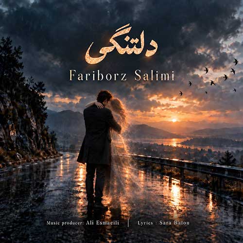 فریبرز سلیمی دلتنگی