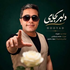 هویاد دلبر کجایی