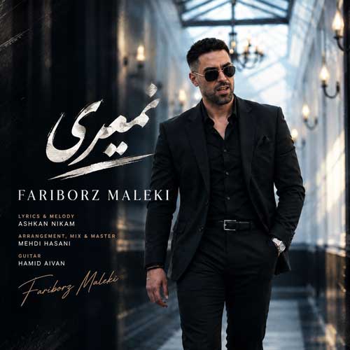 فریبرز ملکی نمیری