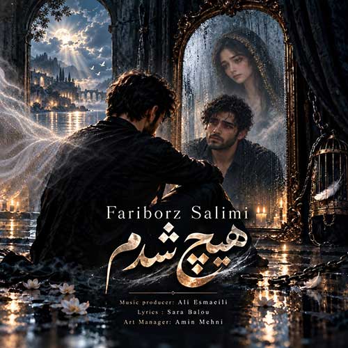 فریبرز سلیمی هیچ شدم